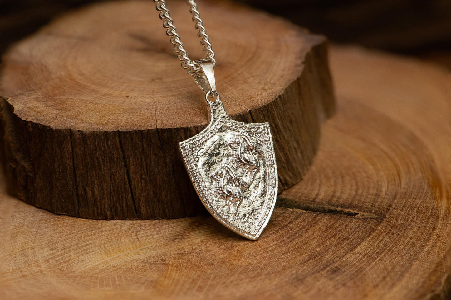 Dragoncrest Shield Talisman S925 Oxidized Silver Necklace | Handmade Fantasy Jewelry For Gamer Men Women